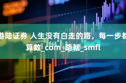 港陆证券 人生没有白走的路，每一步都算数_com_路就_smfl