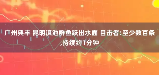 广州典丰 昆明滇池群鱼跃出水面 目击者:至少数百条,持续约1分钟
