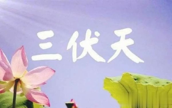恒瑞盈 三伏将至，中老年人少吃西瓜绿豆，多吃4样为入伏打基础
