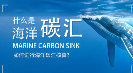 华力网 中央财经委放大招! 海洋碳汇万亿市场开启, 9家龙头抢先布局!