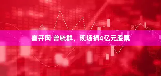 高开网 曾毓群，现场捐4亿元股票